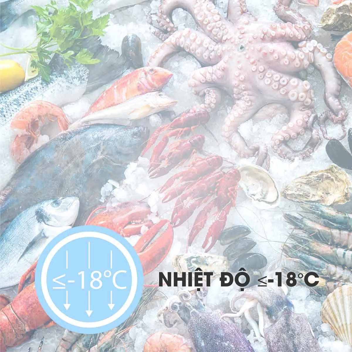Tủ Đông Sanaky 100 Lít VH-150HY2 có nhiệt độ dưới lý tưởng